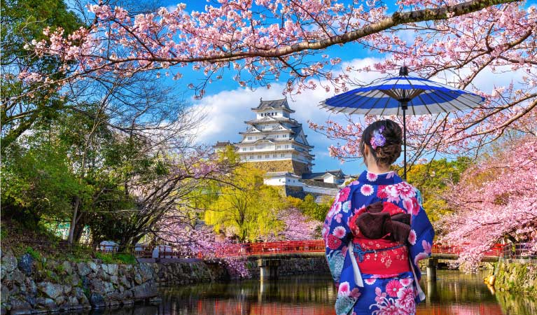 Japan Packages
